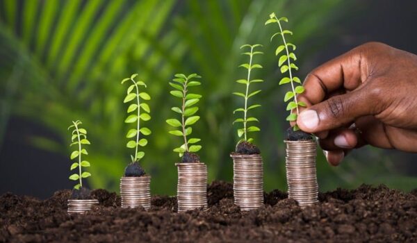 £50m extra funding for Customs Intermediary Grant Scheme