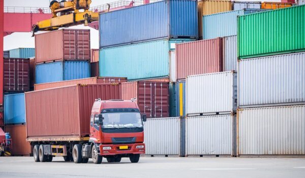 Customs declaration service update
