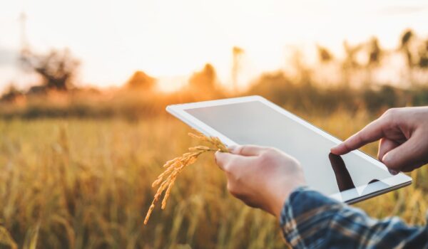 Manage your farm just like an investment portfolio