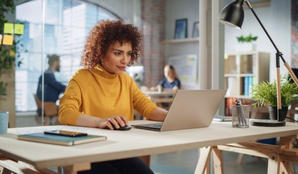 Salary vs. Dividends:  A guide for Company Directors and Shareholders